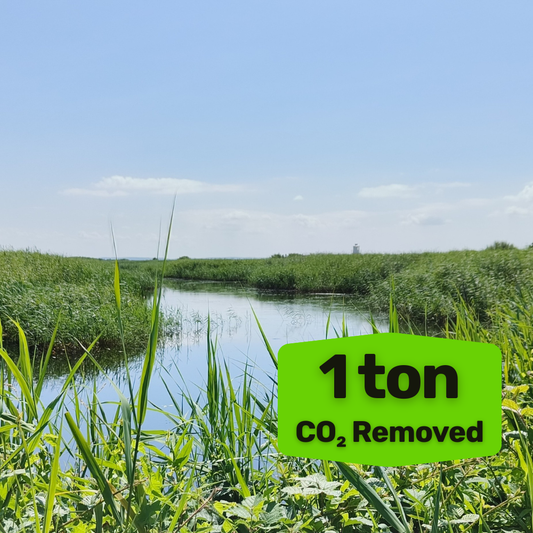 REMOVE 1 ton of CO₂