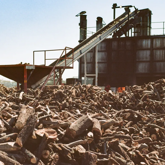Burger Meal - 20 kg of Carbon Removed