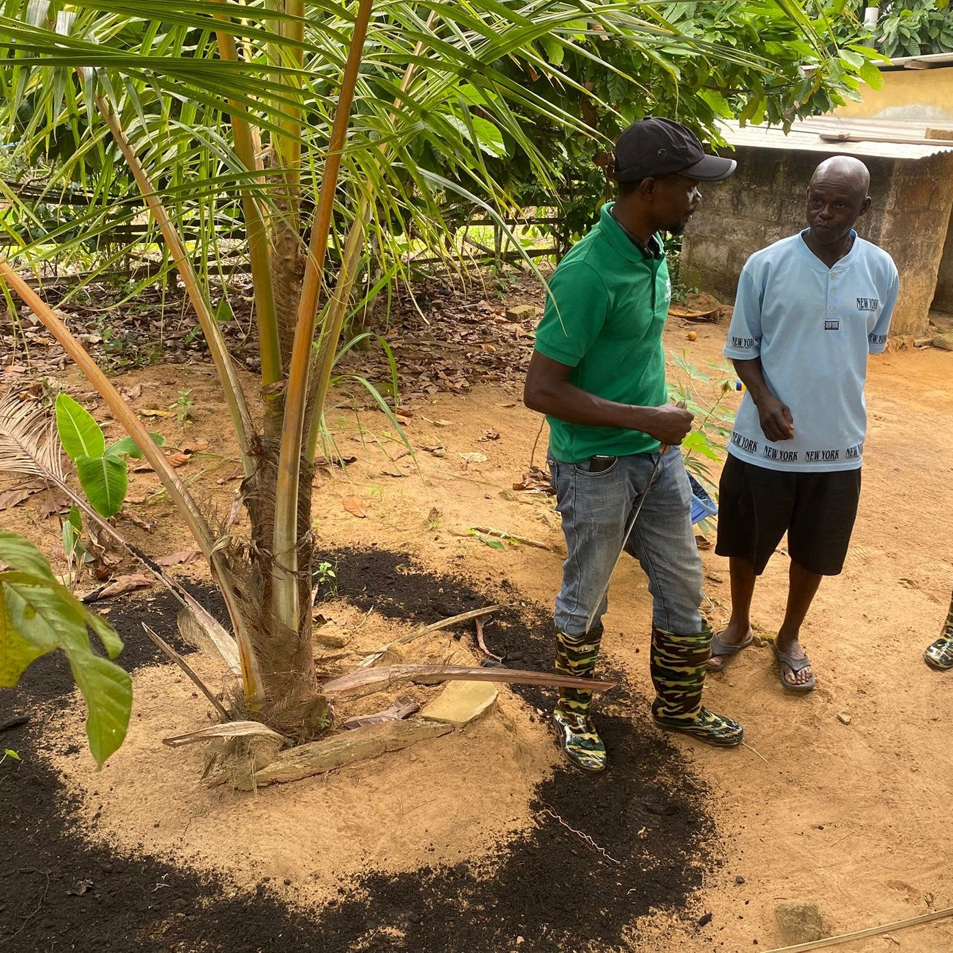 10000 kg (10 tons) of Carbon Removed