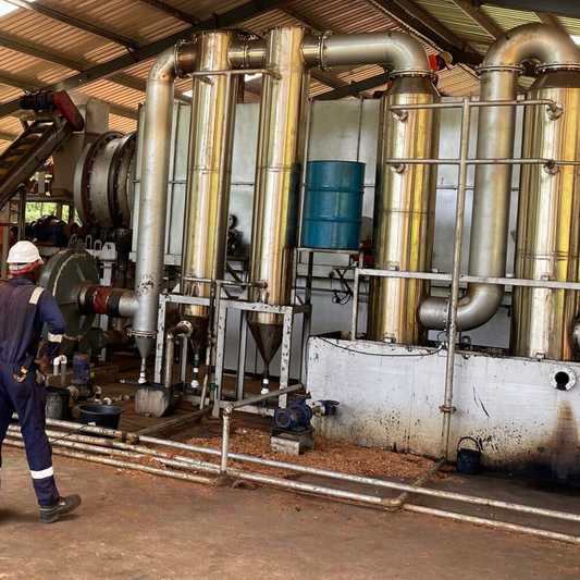 1 kg of Carbon Removed