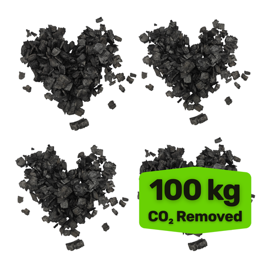MONTHLY REMOVAL - Remove 100 kg of CO₂ per month