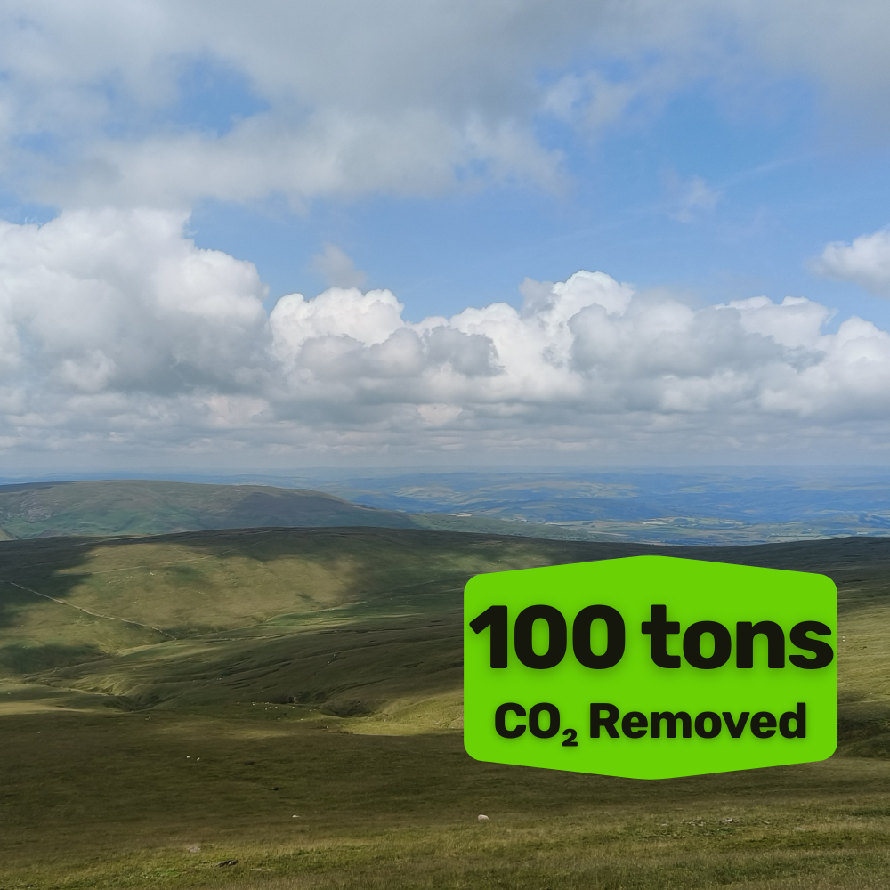 100 tonnes of Carbon Removal