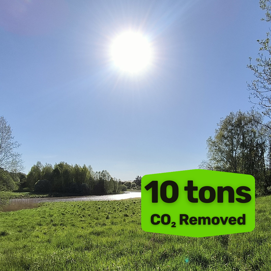 REMOVE 10 tons of CO₂