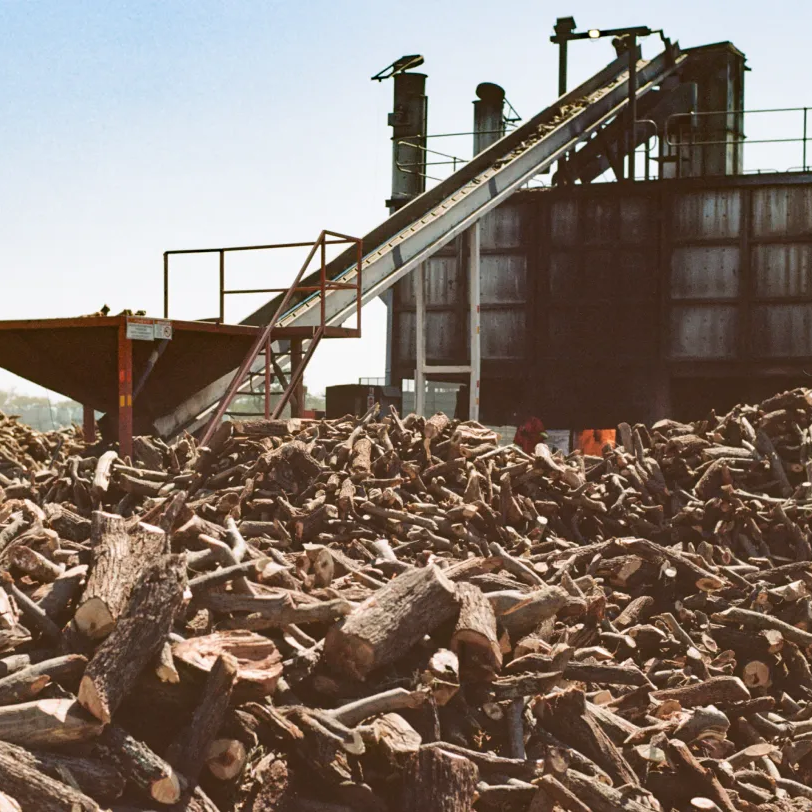 New Hoodie - 30 kg of Carbon Removed