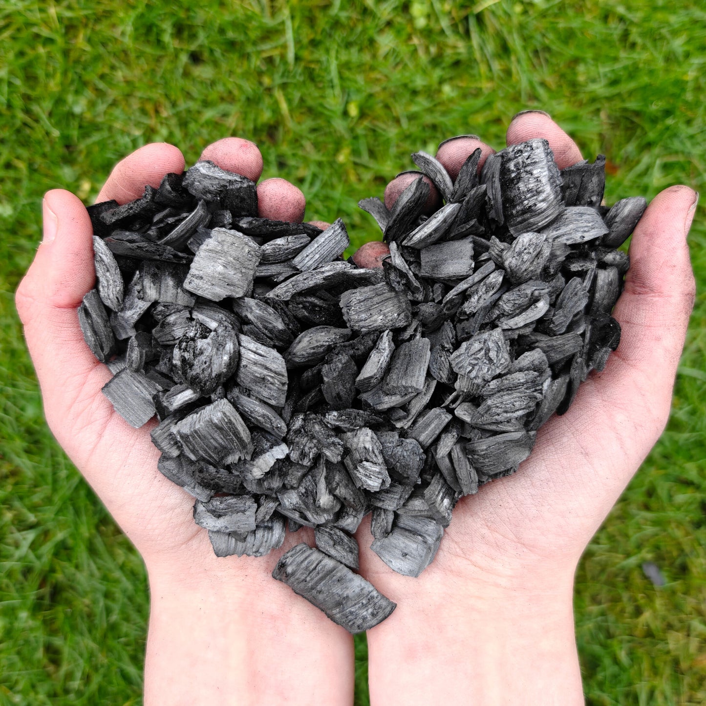 Your Lifetime - 100 tons of Carbon Removed