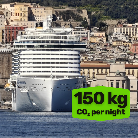Cruise Carbon Removal