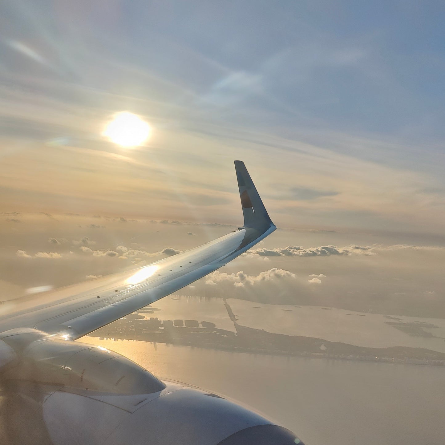 Flight for 1 hour (economy) - 115 kg of Carbon Removed