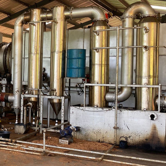 Net Zero Annual - 10 tons of Carbon Removed