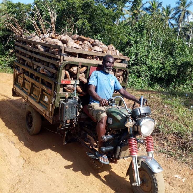 Your Lifetime - 100 tons of Carbon Removed