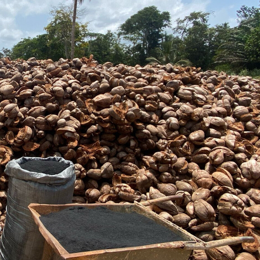 100 kg of Carbon Removed