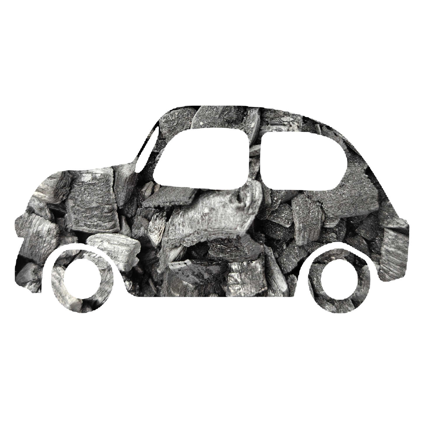 Car Drive for 100 km (petrol/diesel) - 30 kg of Carbon Removed