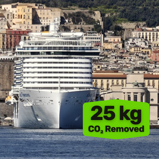 REMOVE CRUISE TRAVEL EMISSIONS - 25 kg of CO₂ per hour