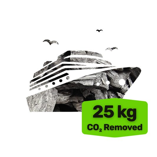 REMOVE CRUISE TRAVEL EMISSIONS - 25 kg of CO₂ per hour
