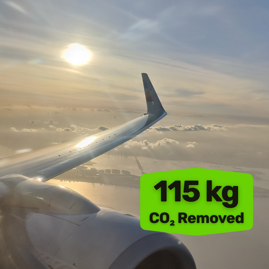 REMOVE FLIGHT EMISSIONS - 115 kg of CO₂ per hour