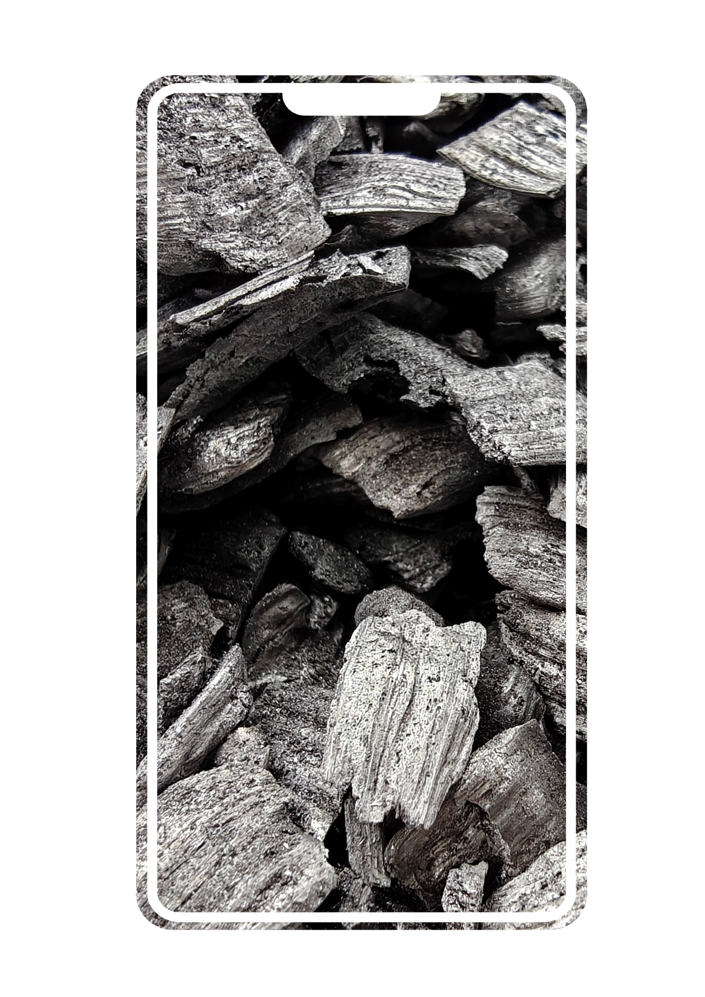 New Smartphone - 95 kg of Carbon Removed