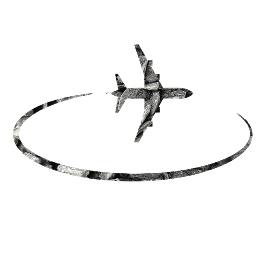 Flight for 1 hour (economy) - 250 kg of Carbon Removed