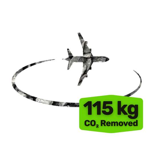 REMOVE FLIGHT EMISSIONS - 115 kg of CO₂ per hour