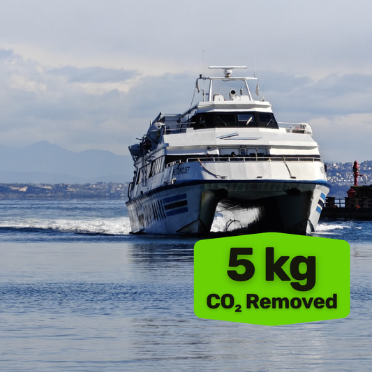REMOVE WALK-ON FERRY EMISSIONS - 5 kg of CO₂ per hour