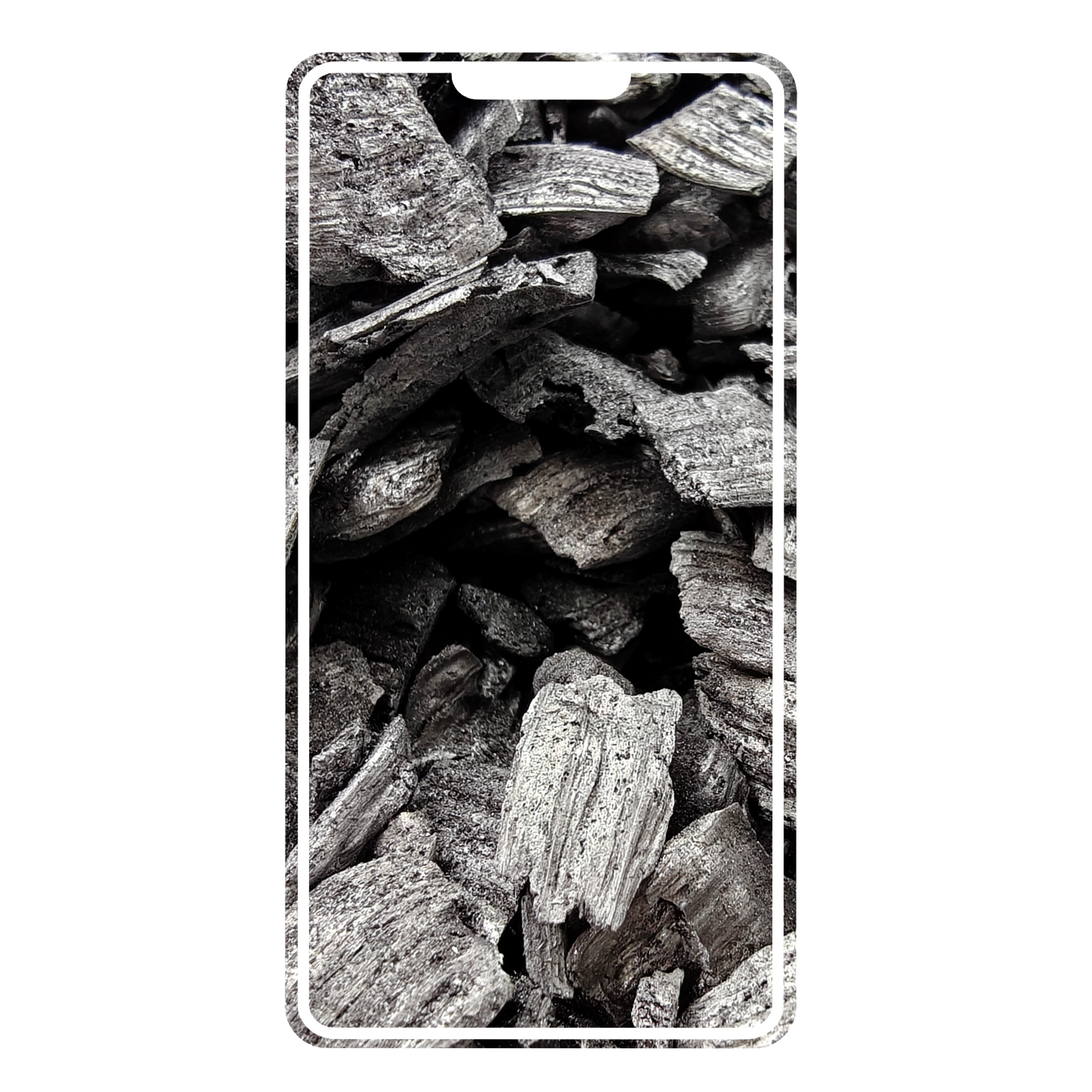 New Smartphone - 95 kg of Carbon Removed