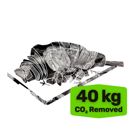 REMOVE EASTER DINNER EMISSIONS - 40 kg of CO₂